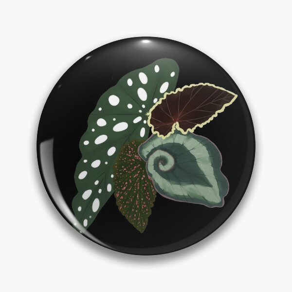 Item preview, Begonias designed and sold by girlwhoplants.