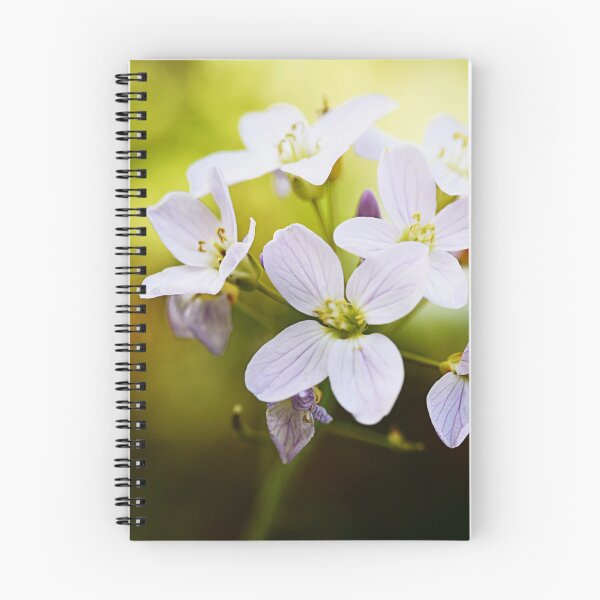Item preview, Beautiful flowers in the morning sun designed and sold by ODENWALD-Natur.