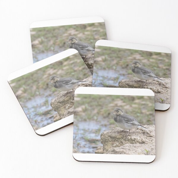 Item preview, Pied Wagtail (Baby) designed and sold by LaurenTucker.
