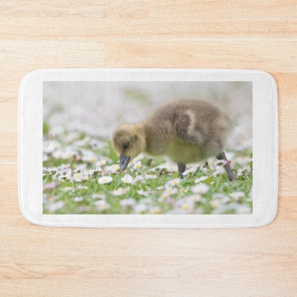 Item preview, Greylag Goose (Baby) designed and sold by LaurenTucker.