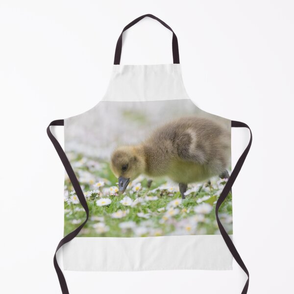 Item preview, Greylag Goose (Baby) designed and sold by LaurenTucker.