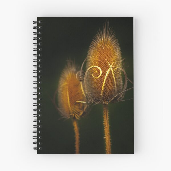 Item preview, Teasels close-up with artistic swirls against dark background designed and sold by BZsArt.