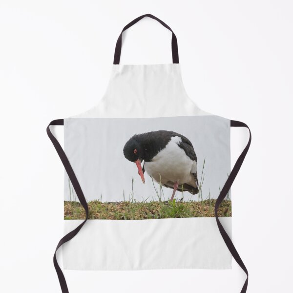 Item preview, Oystercatcher designed and sold by LaurenTucker.