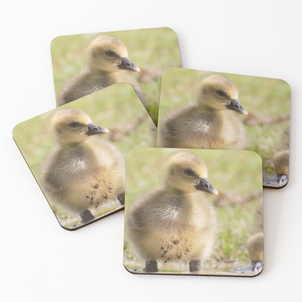Item preview, Greylag Goose (Baby) designed and sold by LaurenTucker.