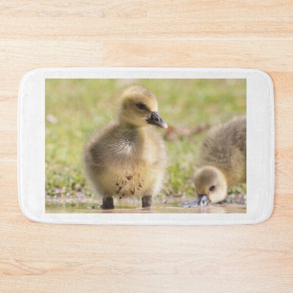 Item preview, Greylag Goose (Baby) designed and sold by LaurenTucker.