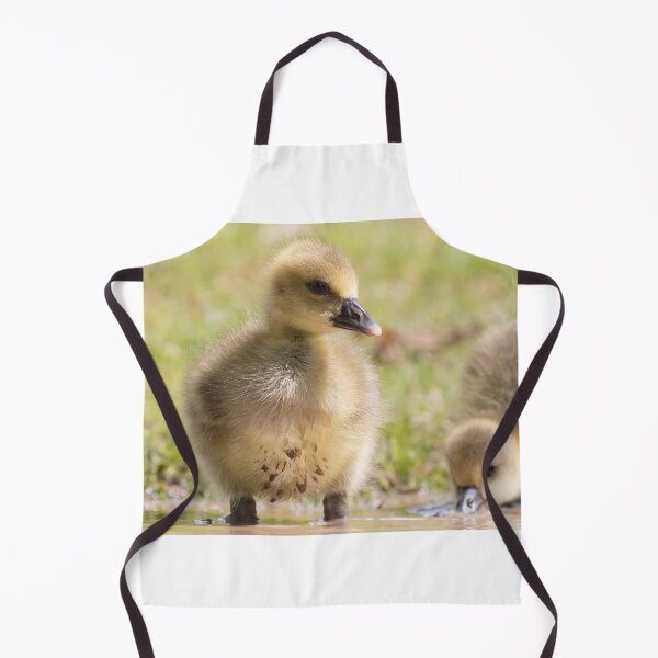 Item preview, Greylag Goose (Baby) designed and sold by LaurenTucker.