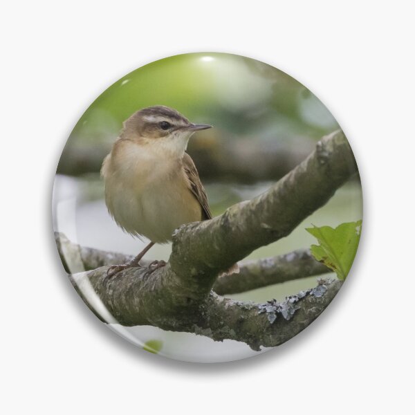 Item preview, Sedge Warbler designed and sold by LaurenTucker.