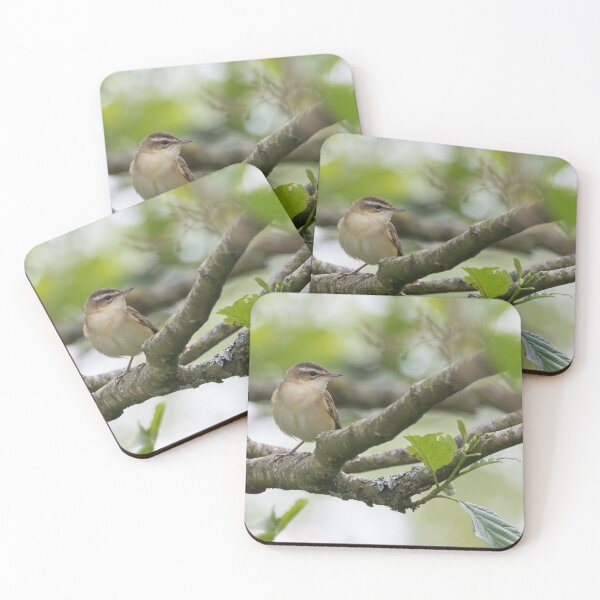 Item preview, Sedge Warbler designed and sold by LaurenTucker.