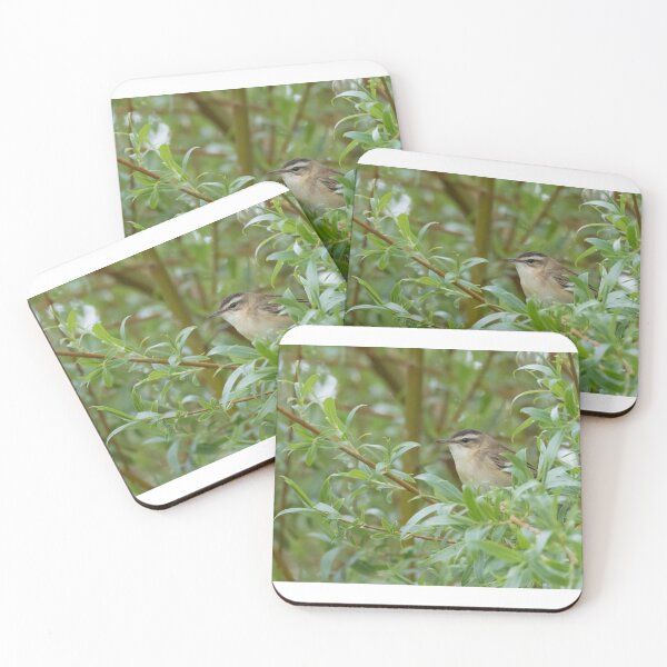 Item preview, Sedge Warbler designed and sold by LaurenTucker.