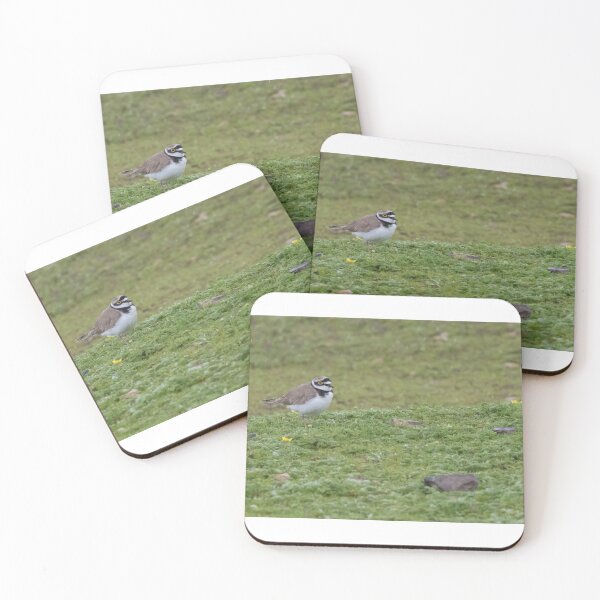 Item preview, Little Ringed Plover designed and sold by LaurenTucker.
