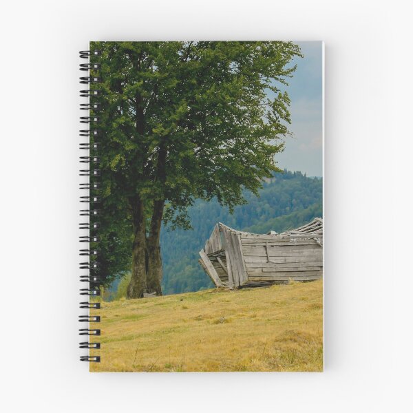 Item preview, Abandoned disintegrating shepherd's hut and a tree in a mountain pasture in Transylvania designed and sold by BZsArt.