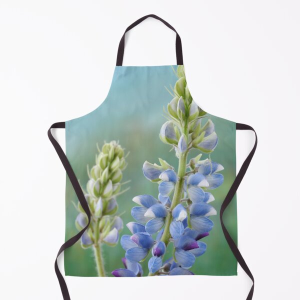 Item preview, Lupinus 'Avalune Mixed' Annual Lupin designed and sold by Chris Burrows.