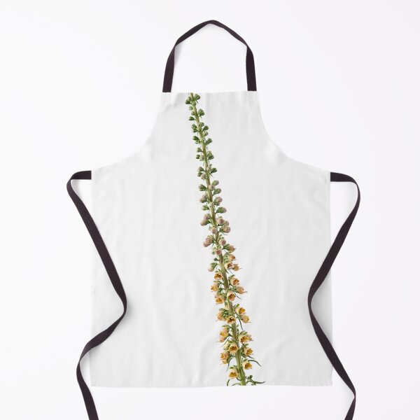 Item preview, Digitalis ferruginea AGM Rusty foxglove designed and sold by Chris Burrows.