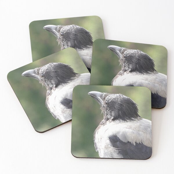 Item preview, Raven bird designed and sold by Babbler01.