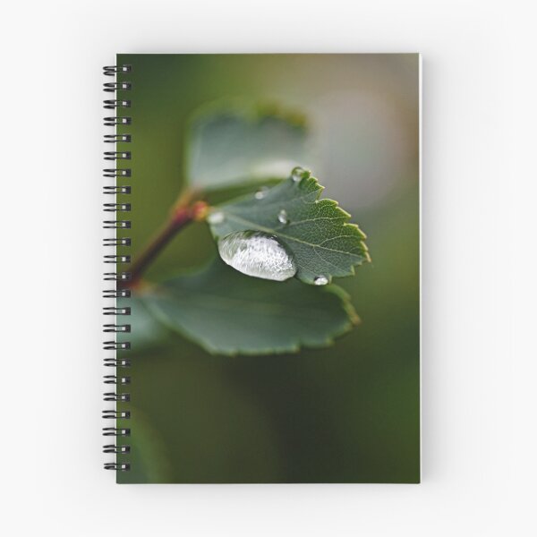 Item preview, Leaf after a downpour designed and sold by ODENWALD-Natur.