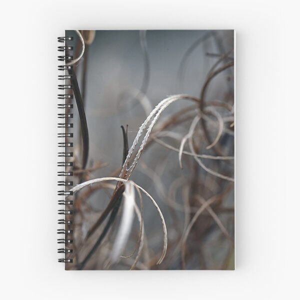Item preview, Plant at the forest lake designed and sold by ODENWALD-Natur.