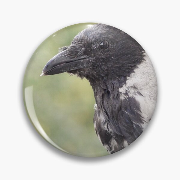 Item preview, Hooded crow designed and sold by Babbler01.