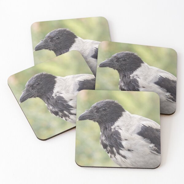 Item preview, Hooded crow designed and sold by Babbler01.