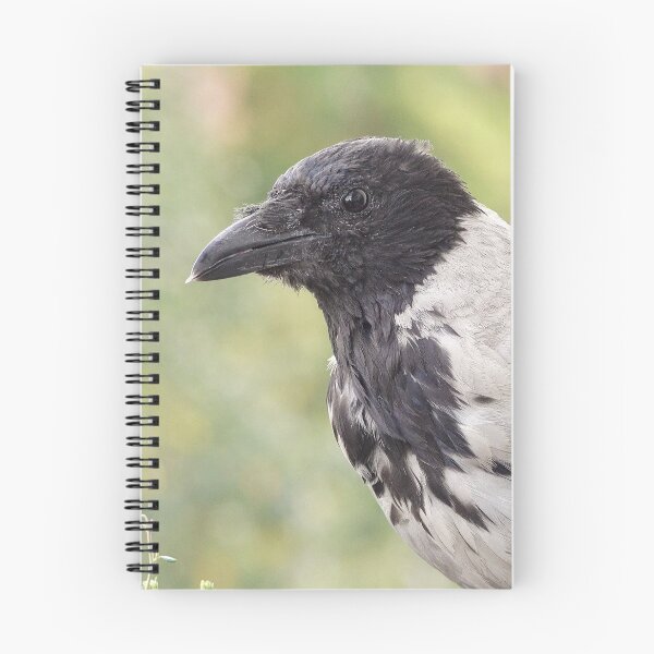 Item preview, Hooded crow designed and sold by Babbler01.