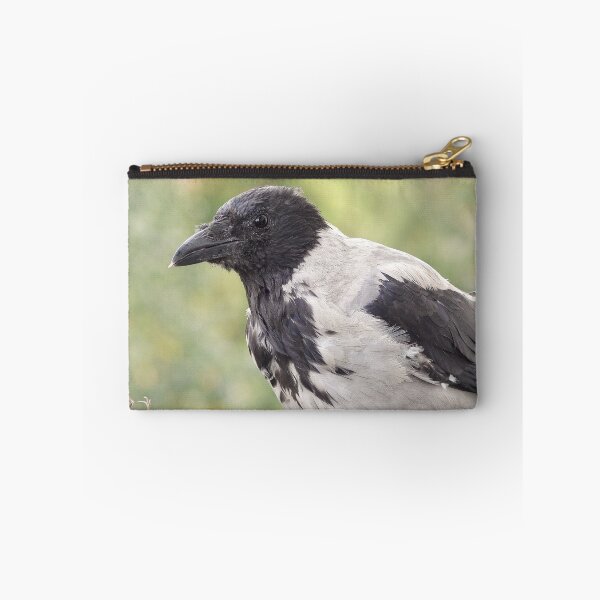 Item preview, Hooded crow designed and sold by Babbler01.