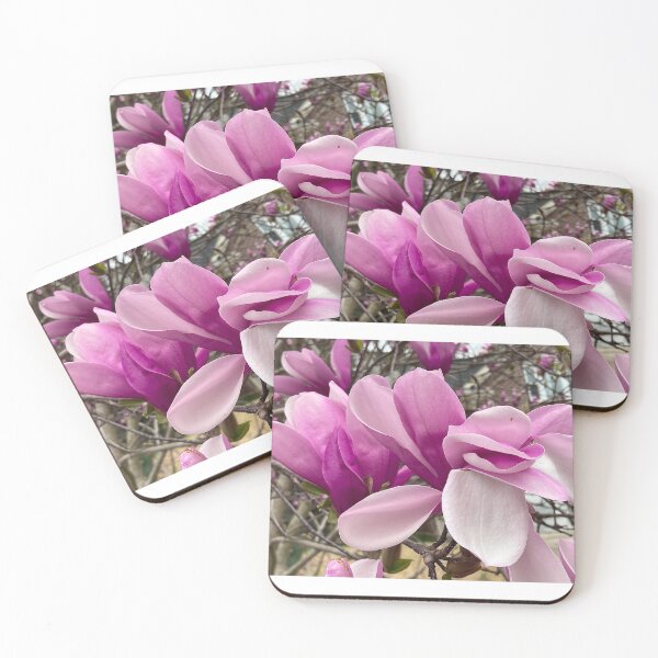 Item preview, Blooms of Saucer Magnolia designed and sold by Max Kindly.