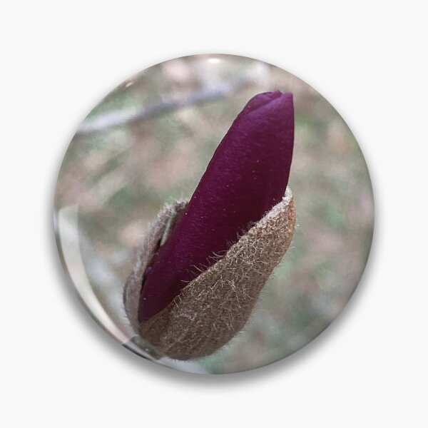 Item preview, Floral Bud of Saucer Magnolia designed and sold by Max Kindly.
