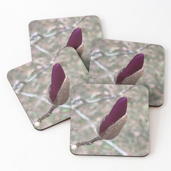 Item preview, Floral Bud of Saucer Magnolia designed and sold by Max Kindly.