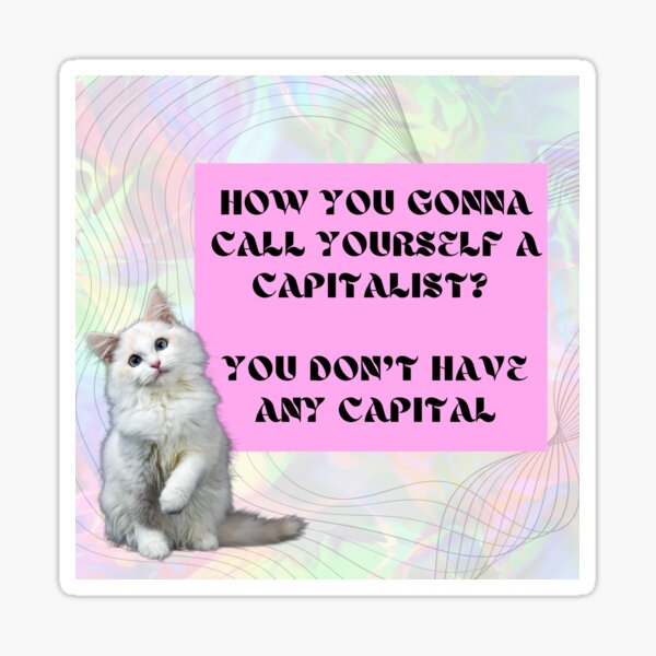 Artikel-Vorschau von Du hast kein Kapital [Katze], designt und verkauft von StabbyCat.