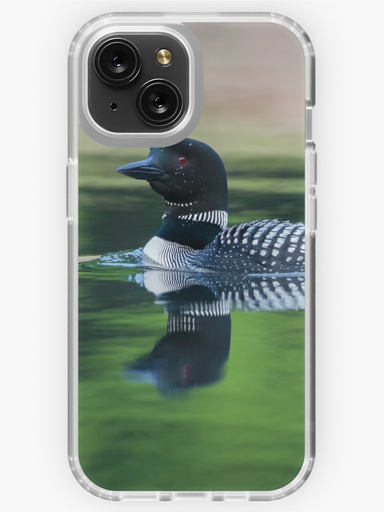 Common Loon