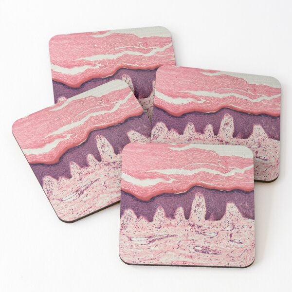 Item preview, Human skin with sweat glands under the microscope designed and sold by Zosimus.