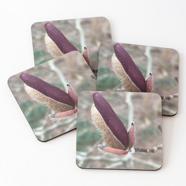 Item preview, Saucer Magnolia Floral Bud designed and sold by Max Kindly.