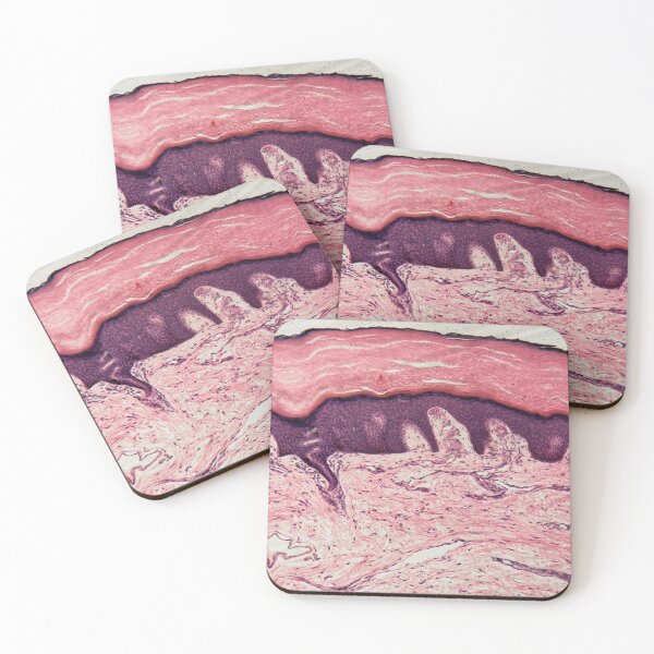 Item preview, Human skin with sweat glands designed and sold by Zosimus.