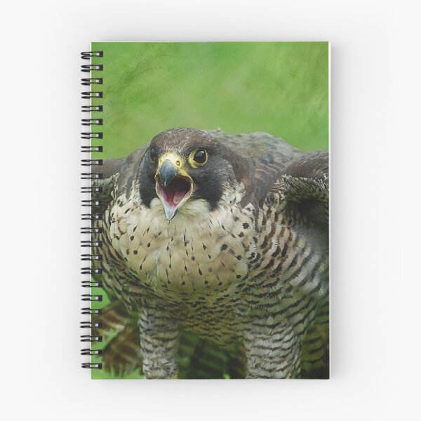 Item preview, The Peregrine Falcon  designed and sold by Declan Carr.