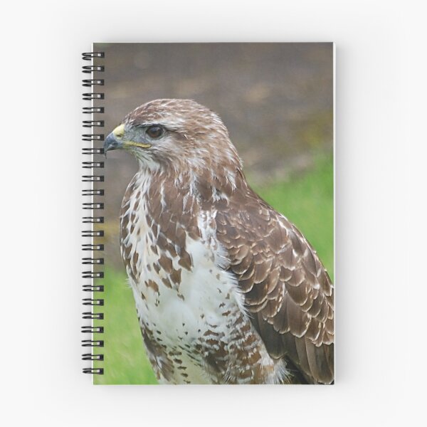 Item preview, Buzzard designed and sold by Declan Carr.