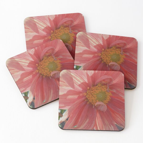 Item preview, Cotton Candy Dahlia designed and sold by Tdcc2000.