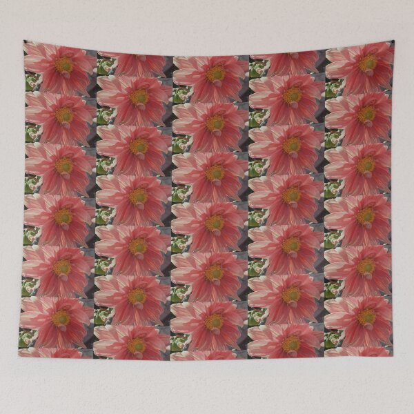 Item preview, Cotton Candy Dahlia designed and sold by Tdcc2000.