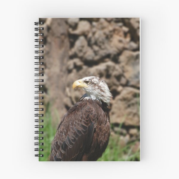 Item preview, A teen Bald Eagle designed and sold by Declan Carr.