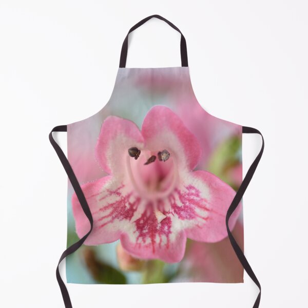 Item preview, Penstemon 'Hewell Pink Bedder' AGM Beardtongue designed and sold by Chris Burrows.