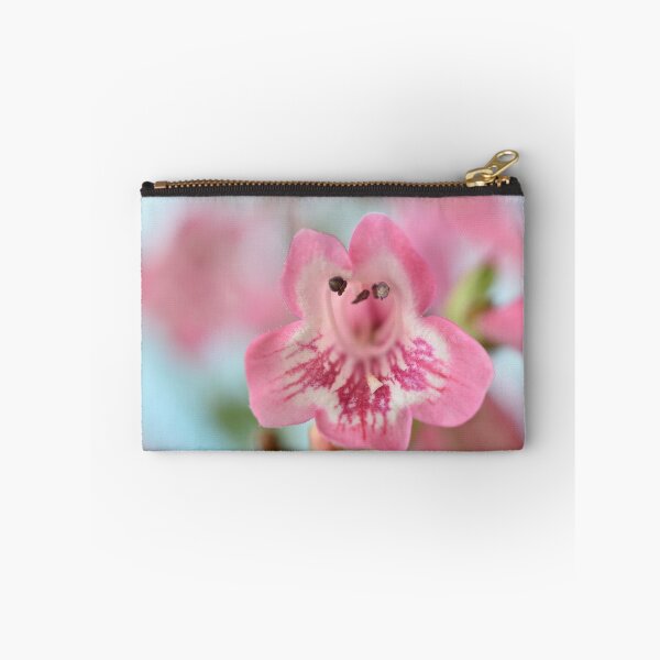 Item preview, Penstemon  'Hewell Pink Bedder'  AGM  Beardtongue designed and sold by Chris Burrows.