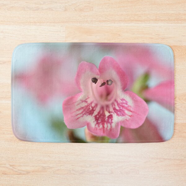 Item preview, Penstemon  'Hewell Pink Bedder'  AGM  Beardtongue designed and sold by Chris Burrows.