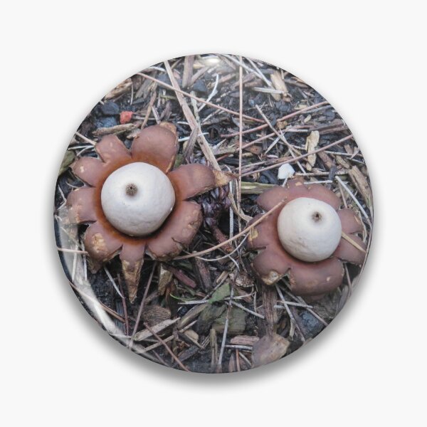 Item preview, Two earth stars  designed and sold by greentiger1.