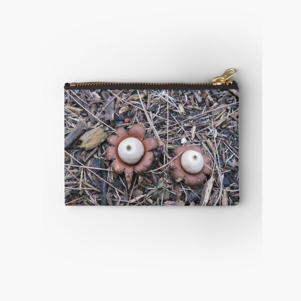Item preview, Two earth stars  designed and sold by greentiger1.