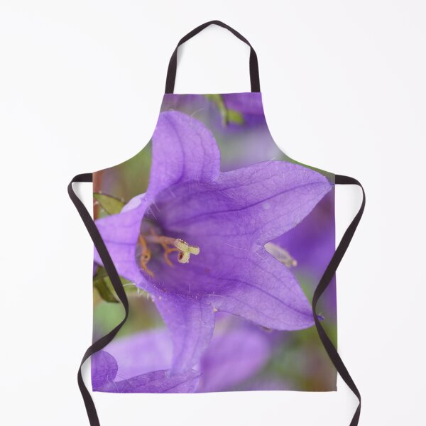 Item preview, Campanula trachelium  Nettle-leaved bellflower  Blue devil bellflower designed and sold by Chris Burrows.
