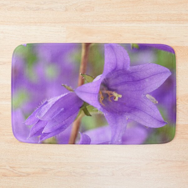 Item preview, Campanula trachelium Nettle-leaved bellflower Blue devil bellflower designed and sold by Chris Burrows.