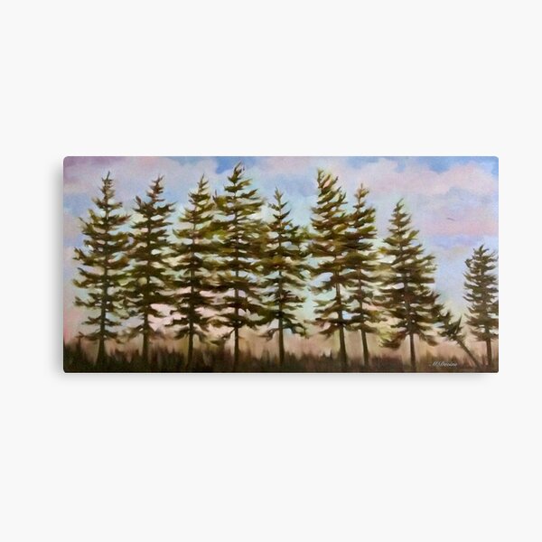 Algonquin Trees Canvas Print