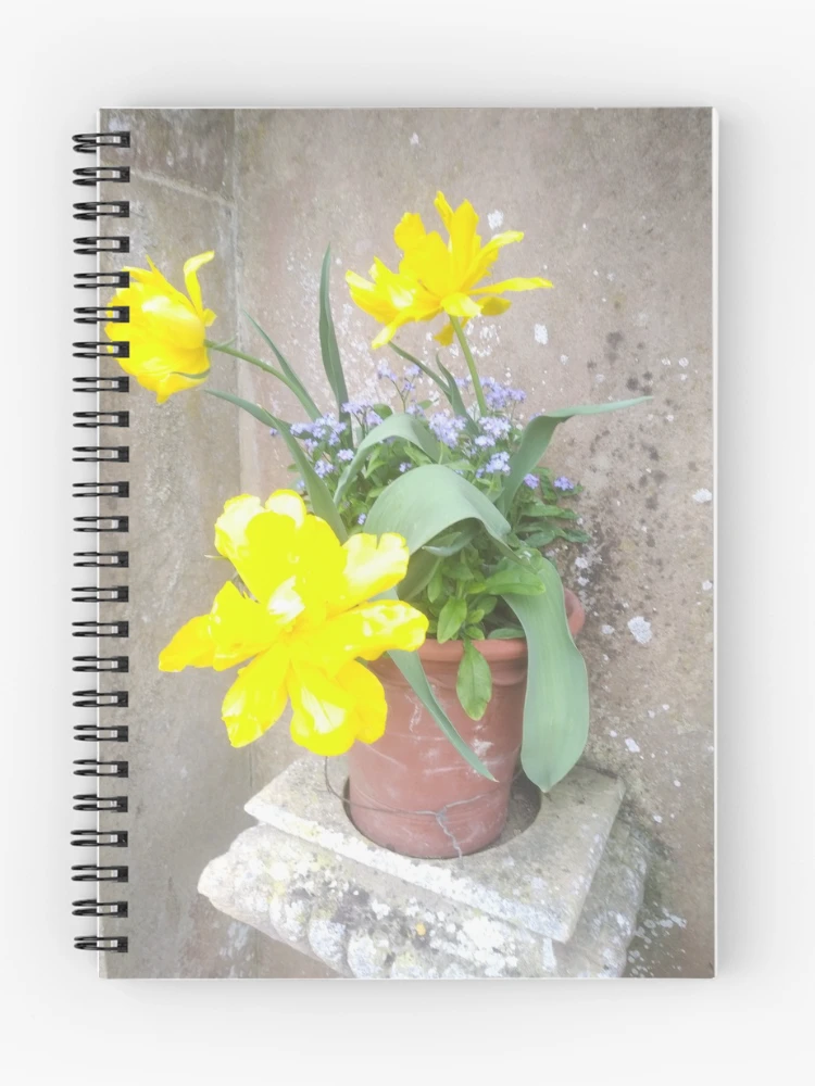 Thumbnail 1 of 3, Journal, Spring pots designed and sold by TreacleDesigns.