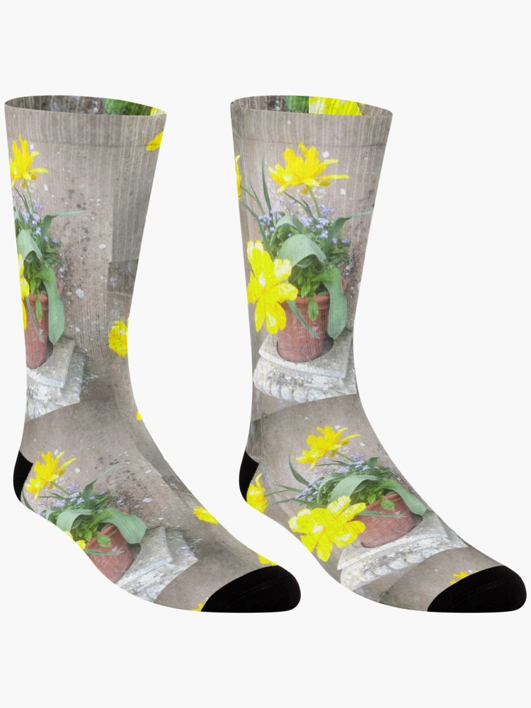 Thumbnail 3 of 5, Socks, Spring pots designed and sold by TreacleDesigns.