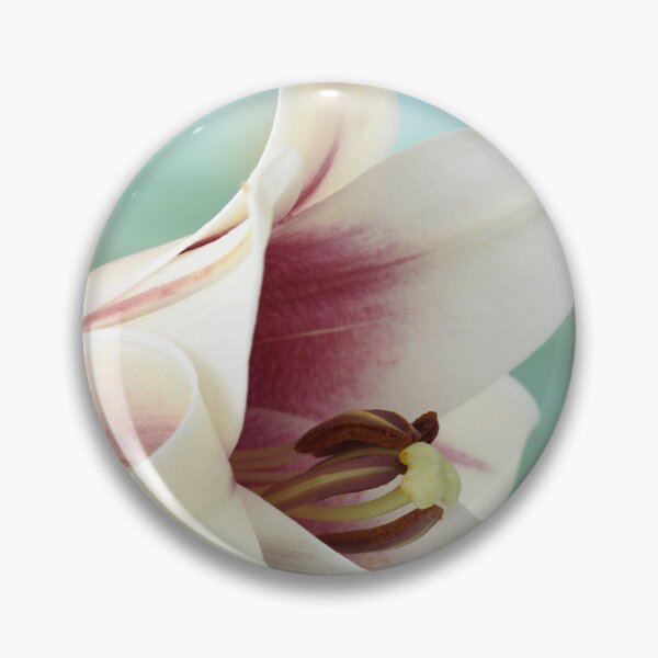 Item preview, Lilium  Triumphator = 'Zanlophator' designed and sold by Chris Burrows.
