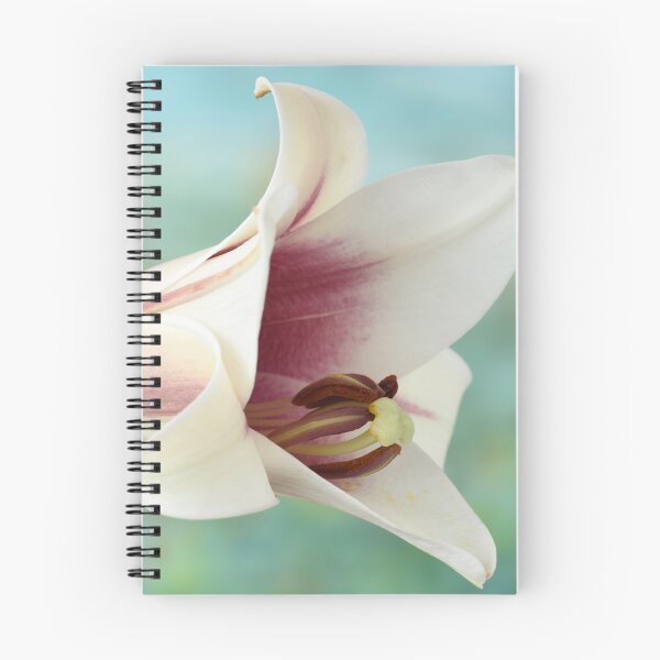 Item preview, Lilium  Triumphator = 'Zanlophator' designed and sold by Chris Burrows.