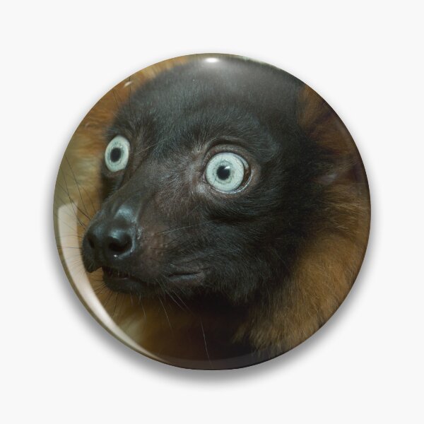 Item preview, Red Ruffed Lemur designed and sold by RapTops.
